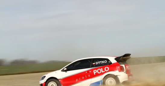 Testy Polo Proto